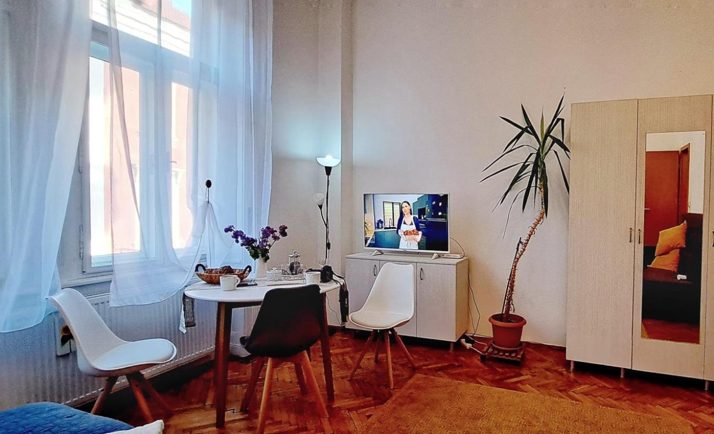 Travel And Music Apartment Timişoara Eksteriør billede